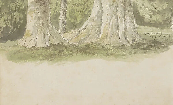 Tree trunks, 1868. Creator: Johannes Tavenraat
