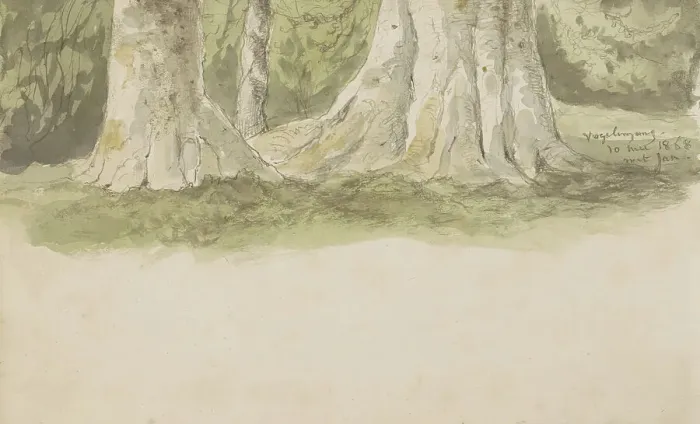 Framed Print : Tree trunks, 1868. Creator: Johannes Tavenraat Framed Print : Tree trunks, 1868. Creator: Johannes Tavenraat