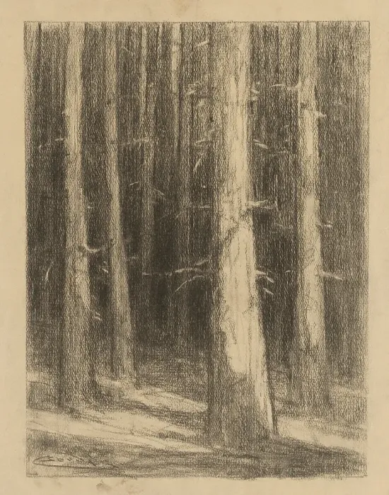 Framed Print : Tree trunks, around 1930. Creator: Ludovit Cordak Framed Print : Tree trunks, around 1930. Creator: Ludovit Cordak