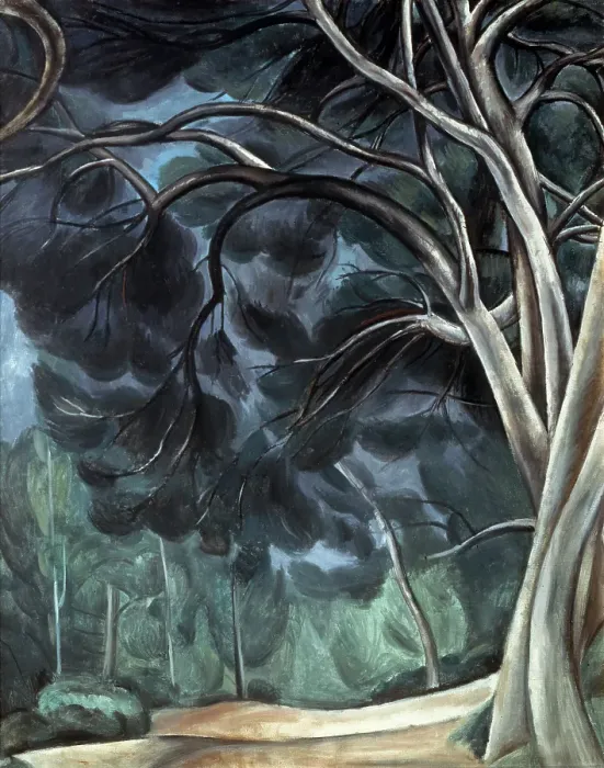 Framed Print : Tree Trunks, c1912. Creator: Andre Derain. Tree Trunks, c1912. Creator: Andre Derain Framed Print : Tree Trunks, c1912. Creator: Andre Derain. Tree Trunks, c1912. Creator: Andre Derain