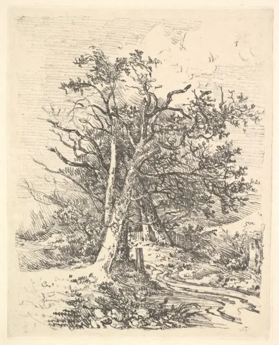Framed Print : Tree Trunks and Lane, 1811-13. Creator: John Crome Framed Print : Tree Trunks and Lane, 1811-13. Creator: John Crome