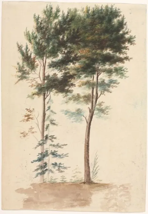 Framed Print : Trees, 1700s(?). Creator: Jean Baptiste Pillement (French, 1728-1808) Framed Print : Trees, 1700s(?). Creator: Jean Baptiste Pillement (French, 1728-1808)