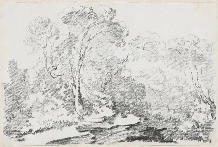 Framed Print : Trees, 1744 / 1750. Creator: Joseph-Marie Vien the Elder Framed Print : Trees, 1744 / 1750. Creator: Joseph-Marie Vien the Elder