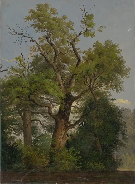 Framed Print : Trees, 1860-1890. Creator: Friedrich Carl von Scheidlin Framed Print : Trees, 1860-1890. Creator: Friedrich Carl von Scheidlin