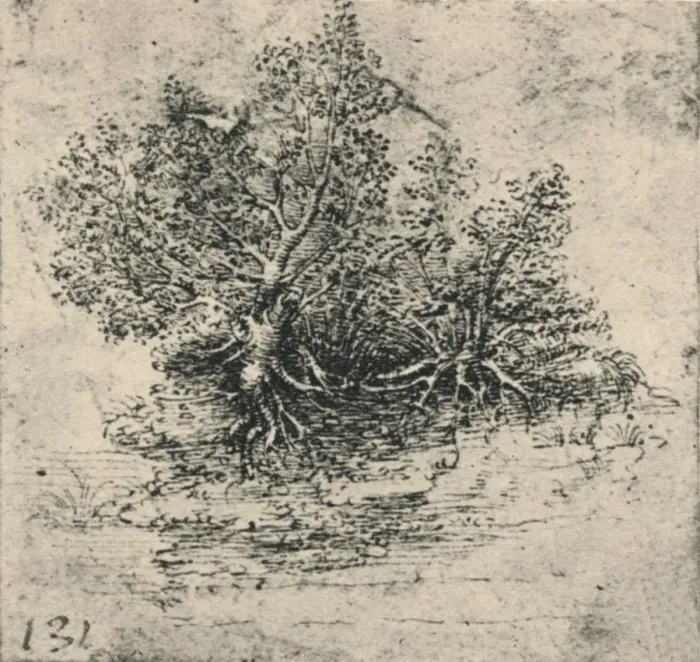 Framed Print : Two Trees on the Bank of a Stream, c1480 (1945). Artist: Leonardo da Vinci Framed Print : Two Trees on the Bank of a Stream, c1480 (1945). Artist: Leonardo da Vinci