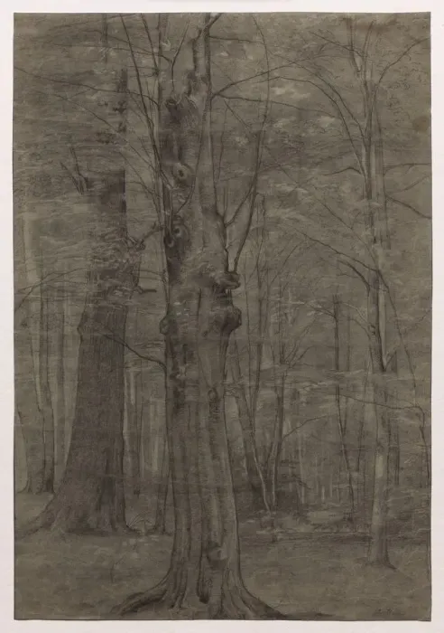 Framed Print : Trees. Creator: Leopold Bode (German, 1831-1906) Framed Print : Trees. Creator: Leopold Bode (German, 1831-1906)