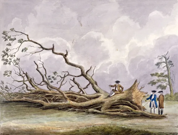 Framed Print : Trees damaged by a storm of 15th October, Roehampton, London, 1780. Artist: Edwin Edwards Framed Print : Trees damaged by a storm of 15th October, Roehampton, London, 1780. Artist: Edwin Edwards