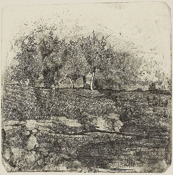 Trees in a Meadow, n.d. Creator: Giovanni Fattori