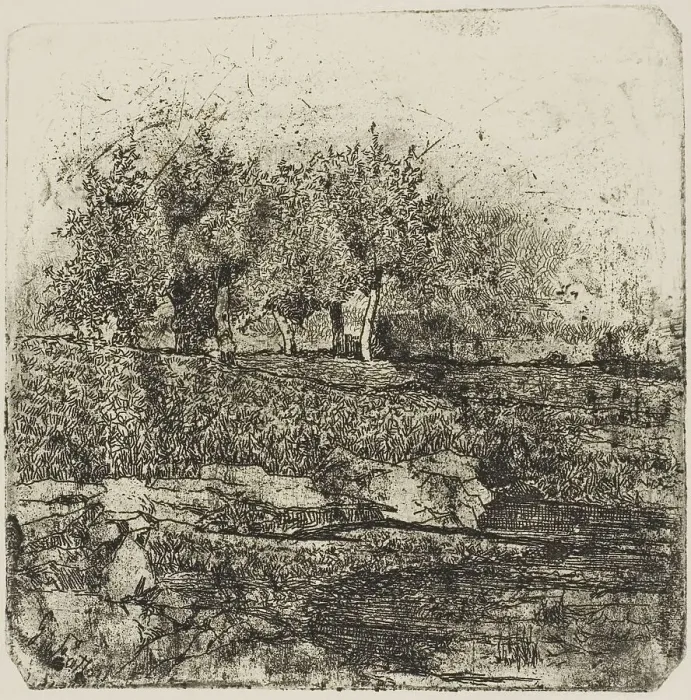Framed Print : Trees in a Meadow, n.d. Creator: Giovanni Fattori Framed Print : Trees in a Meadow, n.d. Creator: Giovanni Fattori