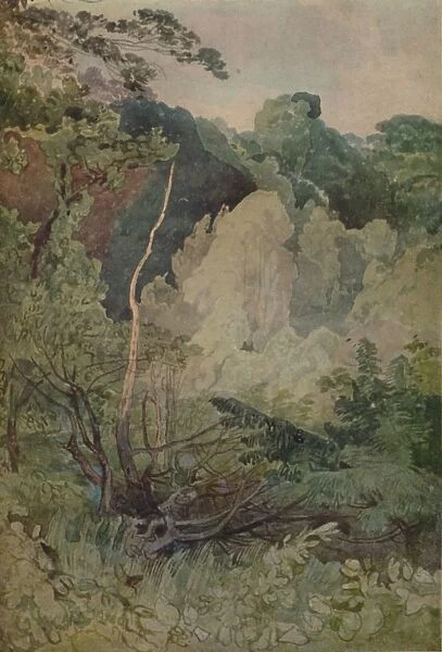 Trees Near The Greta River, 1923. Artist: John Sell Cotman
