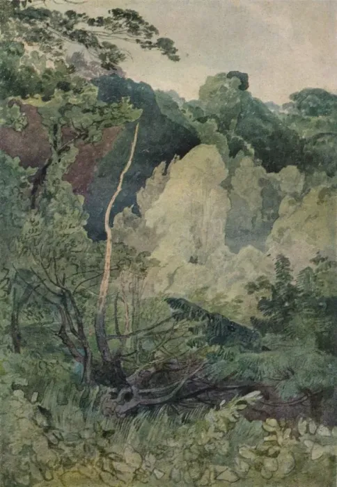 Framed Print : Trees near the Greta River, c19th century. Artist: John Sell Cotman Framed Print : Trees near the Greta River, c19th century. Artist: John Sell Cotman