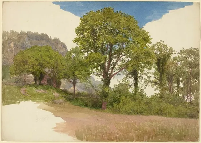 Framed Print : Trees Profiled against the Sky, c. 1865. Creator: John Henry Hill Framed Print : Trees Profiled against the Sky, c. 1865. Creator: John Henry Hill