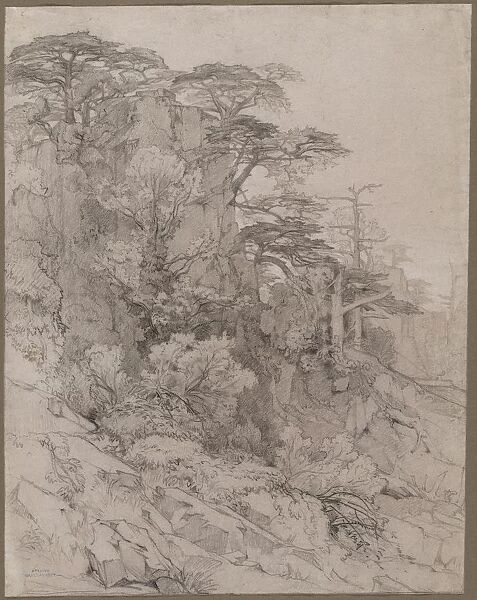 Trees of a Rocky Hillside, late 1800s. Creator: Gustave Achille Guillaumet (French, 1840-1887)