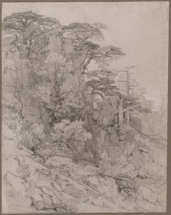 Framed Print : Trees of a Rocky Hillside, late 1800s. Creator: Gustave Achille Guillaumet (French, 1840-1887) Framed Print : Trees of a Rocky Hillside, late 1800s. Creator: Gustave Achille Guillaumet (French, 1840-1887)