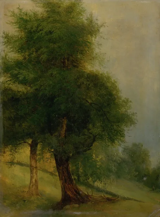 Framed Print : Trees on a slope, 1870-1880. Creator: Jozef Bozetech Klemens Framed Print : Trees on a slope, 1870-1880. Creator: Jozef Bozetech Klemens