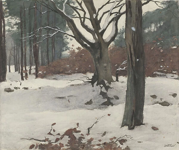 Trees in the snow, c.1870-c.1923. Creator: Willem Witsen