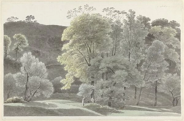 Trees in the Subiaco area, 1778-1847. Creator: Josephus Augustus Knip