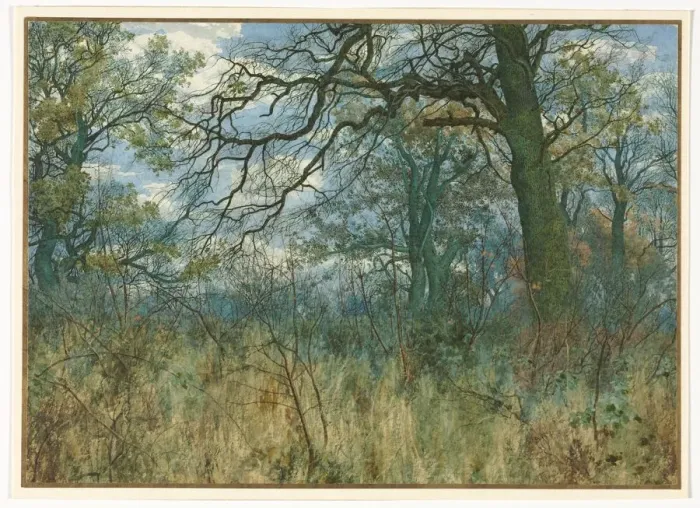 Framed Print : Trees and Undergrowth, 1885. Creator: Garden William Fraser (British, 1856-1921) Framed Print : Trees and Undergrowth, 1885. Creator: Garden William Fraser (British, 1856-1921)