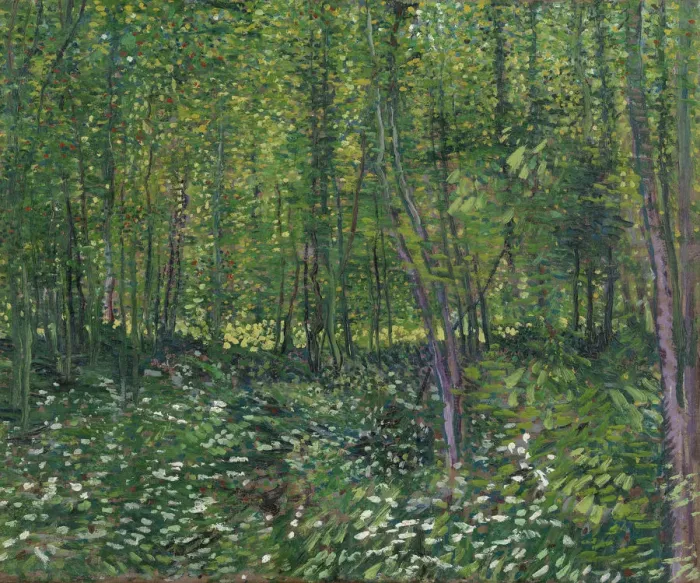 Framed Print : Trees and underwood, 1887. Artist: Gogh, Vincent, van (1853-1890) Framed Print : Trees and underwood, 1887. Artist: Gogh, Vincent, van (1853-1890)