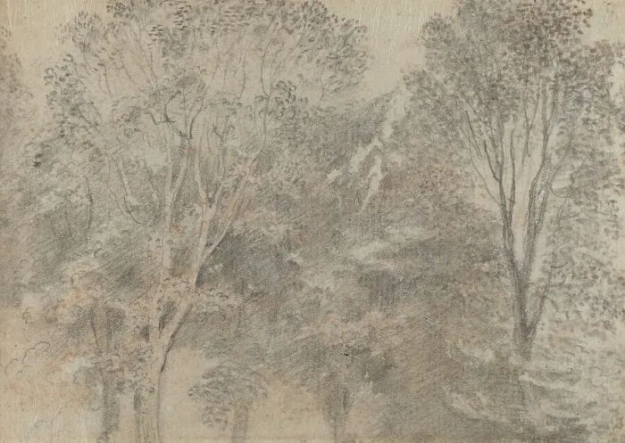 Framed Print : Treetops [verso]. Creator: Jean-Antoine Watteau