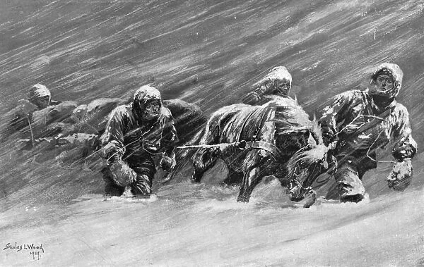 The trek during the snowstorm, 1909. Artist: Stanley L Wood