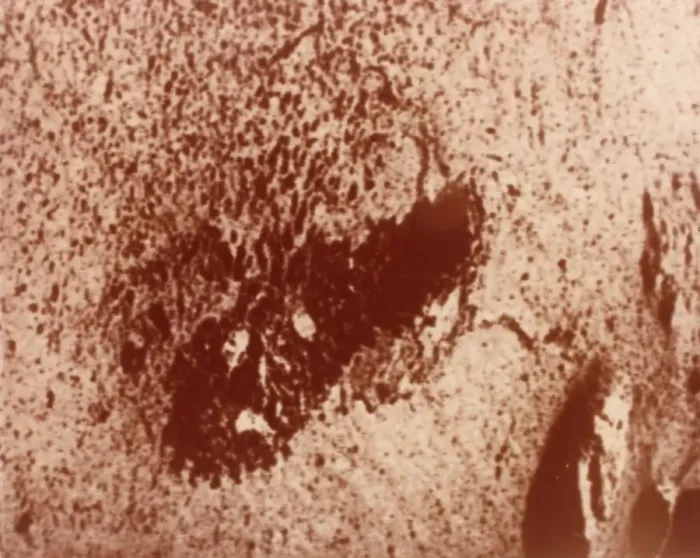 Framed Print : Trench excavated by surface sampler, Viking 1 Mission to Mars, 1976. Creator: NASA Framed Print : Trench excavated by surface sampler, Viking 1 Mission to Mars, 1976. Creator: NASA