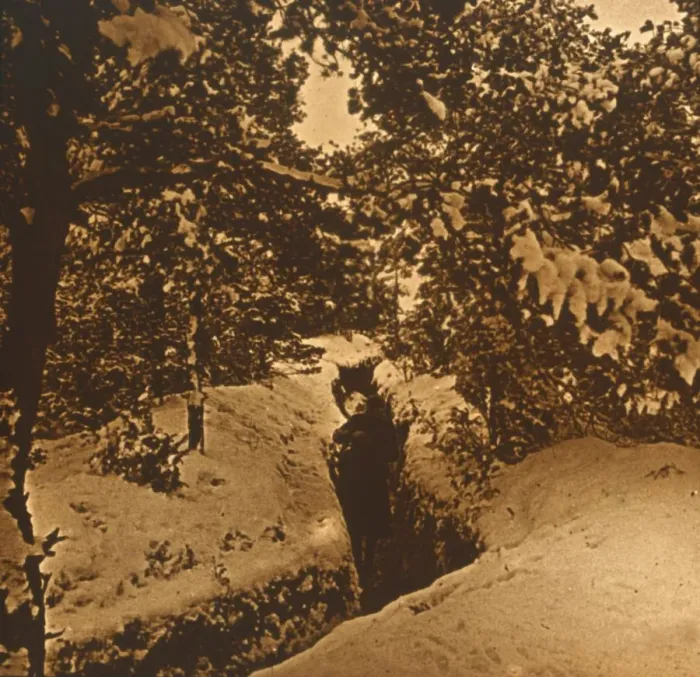 Framed Print : Trenches under fir trees, c1914-c1918 Framed Print : Trenches under fir trees, c1914-c1918
