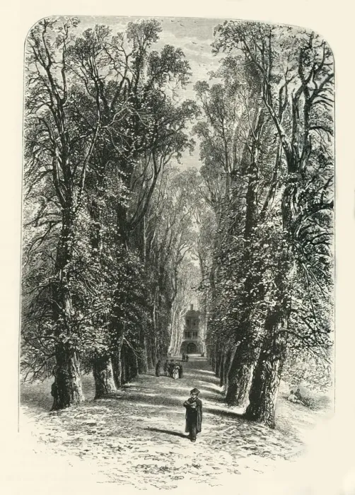 Framed Print : Trinity College Avenue, Cambridge, c1870 Framed Print : Trinity College Avenue, Cambridge, c1870