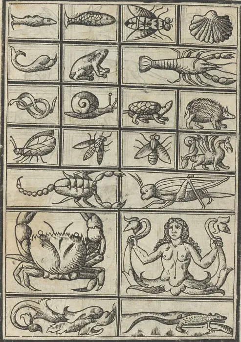 Framed Print : Trionfo Di Virtu. Libro Novo... page 23 (verso), 1563. Creator: Matteo Pagano Framed Print : Trionfo Di Virtu. Libro Novo... page 23 (verso), 1563. Creator: Matteo Pagano