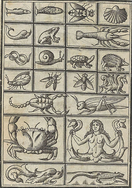 Trionfo Di Virtu. Libro Novo... page 23 (verso), 1563. Creator: Matteo Pagano