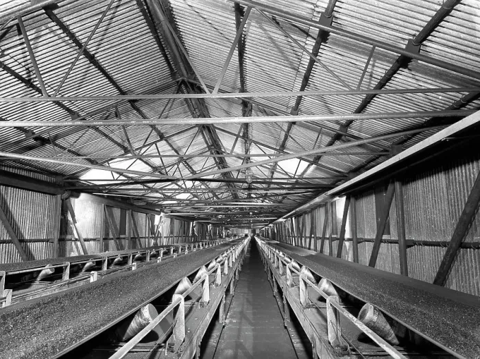 Framed Print : Triple conveyors at Manvers Main coal preparation plant, Wath upon Dearne, South Yorkshire, 1956 Framed Print : Triple conveyors at Manvers Main coal preparation plant, Wath upon Dearne, South Yorkshire, 1956