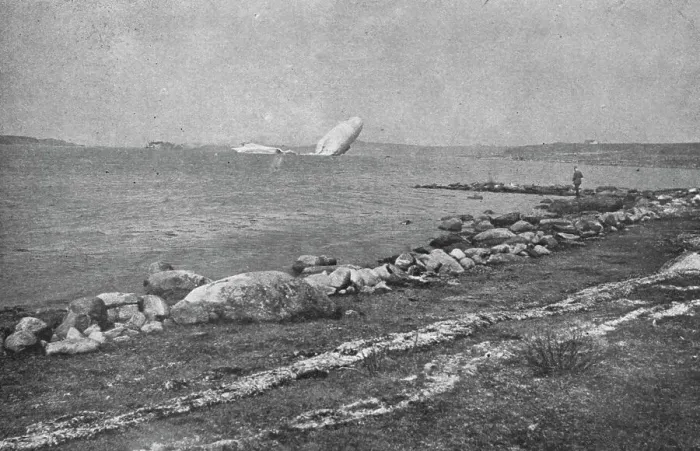 Framed Print : Trois Zeppelins detruits en trois jours. Le L20 dans un fjord de Norvege; L'epave du... 1916. Creator: Unknown. Trois Zeppelins detruits en trois jours. Le L20 dans un fjord de Norvege; L'epave du... 1916. Creator: Unknown Framed Print : Trois Zeppelins detruits en trois jours. Le L20 dans un fjord de Norvege; L'epave du... 1916. Creator: Unknown. Trois Zeppelins detruits en trois jours. Le L20 dans un fjord de Norvege; L'epave du... 1916. Creator: Unknown