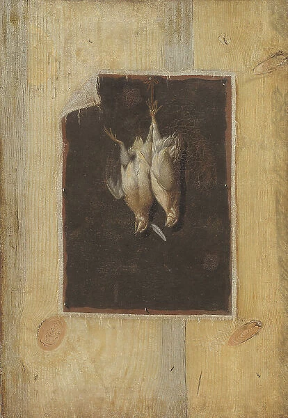 Trompe l'Oeil. Board Partition with a Still Life of Two Dead Birds Hanging on a Wall, 1670-1674. Creator: Cornelis Norbertus Gysbrechts