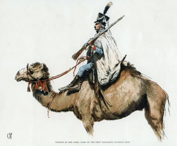 Framed Print : Trooper of the camel corps of the First Napoleons Egyptian Army, 1790s (20th century) Framed Print : Trooper of the camel corps of the First Napoleons Egyptian Army, 1790s (20th century)