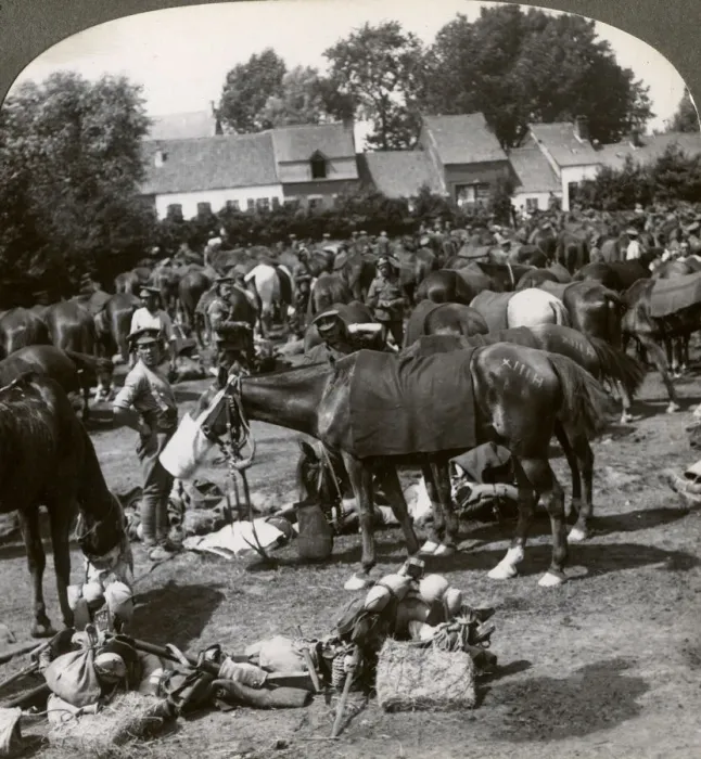 Framed Print : Troops feeding their horses and resting on the march, World War I, 1914-1918. Artist: Realistic Travels Publishers Framed Print : Troops feeding their horses and resting on the march, World War I, 1914-1918. Artist: Realistic Travels Publishers