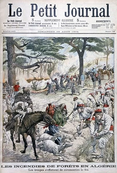 Troops trying to contain a forest fire, Algeria, 1904