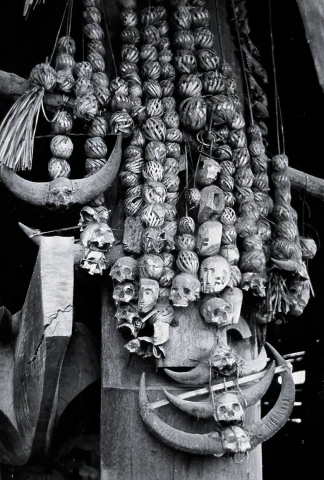 Framed Print : Trophies of a headhunter's house of the Chang Naga tribe, India, ... c1930s. Creator: Unknown. Trophies of a headhunter's house of the Chang Naga tribe, India, ... c1930s Framed Print : Trophies of a headhunter's house of the Chang Naga tribe, India, ... c1930s. Creator: Unknown. Trophies of a headhunter's house of the Chang Naga tribe, India, ... c1930s