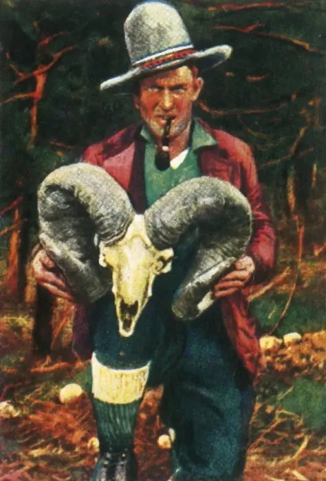 Framed Print : Trophy-hunter holding Bighorn sheep skull, c1928. Creator: Unknown Framed Print : Trophy-hunter holding Bighorn sheep skull, c1928. Creator: Unknown
