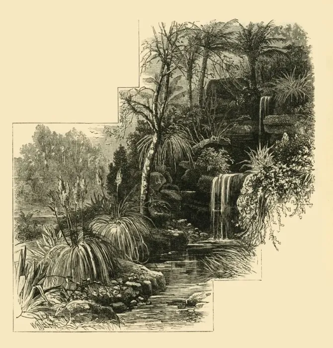 Framed Print : The Tropical Gardens, Battersea Park, (c1878). Creator: Unknown Framed Print : The Tropical Gardens, Battersea Park, (c1878). Creator: Unknown