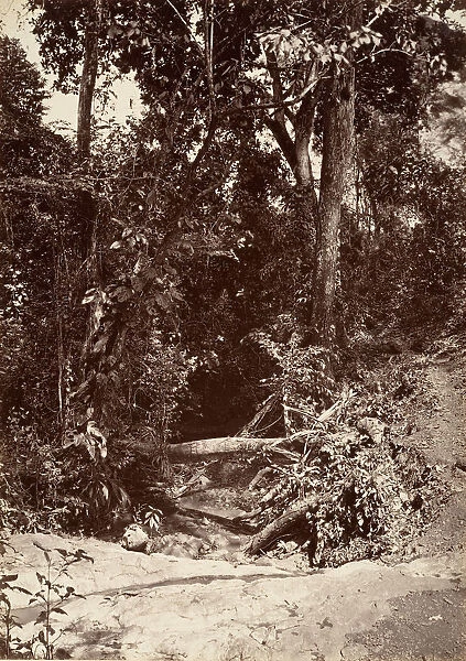 Tropical Scenery, The Brook El Bano, Chipigana, 1871. Creator: John Moran
