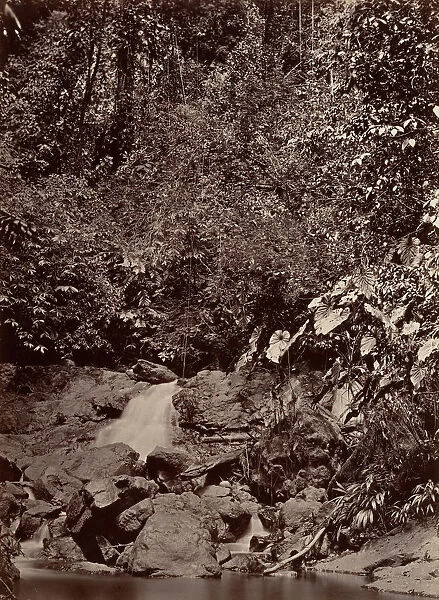 Tropical Scenery, Cascade, Limon River, 1871. Creator: John Moran