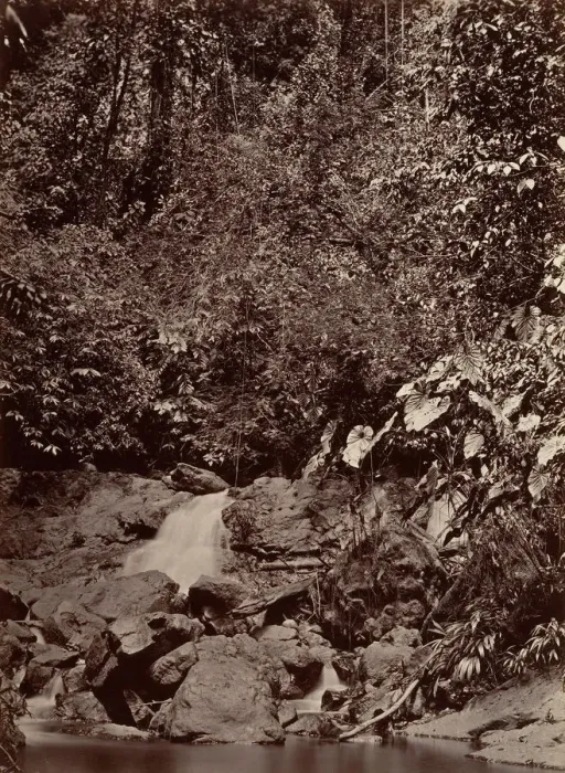 Framed Print : Tropical Scenery, Cascade, Limon River, 1871. Creator: John Moran Framed Print : Tropical Scenery, Cascade, Limon River, 1871. Creator: John Moran