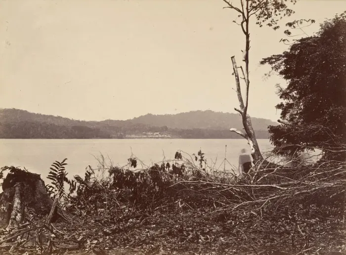 Framed Print : Tropical Scenery, Darien Harbor, Chipigana, 1871. Creator: John Moran Framed Print : Tropical Scenery, Darien Harbor, Chipigana, 1871. Creator: John Moran
