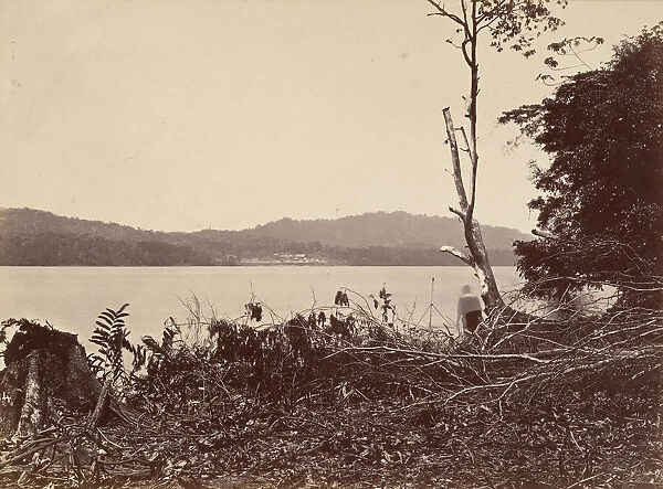 Tropical Scenery, Darien Harbor, Chipigana, 1871. Creator: John Moran
