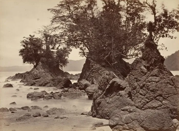 Framed Print : Tropical Scenery, Limon Bay - Low Tide, 1871. Creator: John Moran Framed Print : Tropical Scenery, Limon Bay - Low Tide, 1871. Creator: John Moran