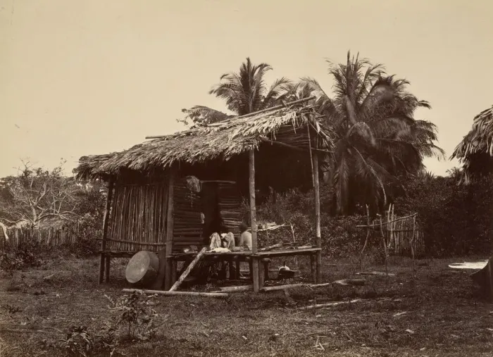 Framed Print : Tropical Scenery, Native Hut, Turbo, 1871. Creator: John Moran