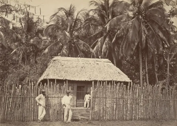 Framed Print : Tropical Scenery, Native Hut, Turbo, 1871. Creator: John Moran Framed Print : Tropical Scenery, Native Hut, Turbo, 1871. Creator: John Moran