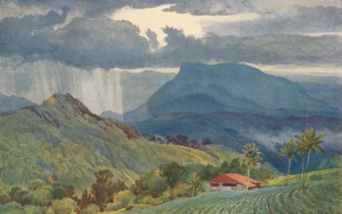 Framed Print : A Tropical Shower, c1880 (1905). Artist: Alexander Henry Hallam Murray Framed Print : A Tropical Shower, c1880 (1905). Artist: Alexander Henry Hallam Murray