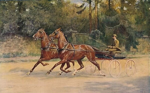 Trotting pair of Walter Winans, 1900 (c1910). Artist: Thomas Blinks