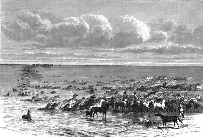 Framed Print : A troup of horses crossing the Volga; A Journey on the Volga, 1875. Creator: Nicholas Rowe Framed Print : A troup of horses crossing the Volga; A Journey on the Volga, 1875. Creator: Nicholas Rowe